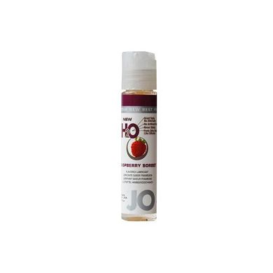 SYSTEM JO 300000090828 H2O Gleitmittel Himbeere 30 ml. 1er Pack (1 x 30 ml)