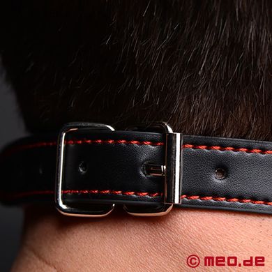 bad-puppy-knochenknebel--schwarzer-hundeknochen-knebel