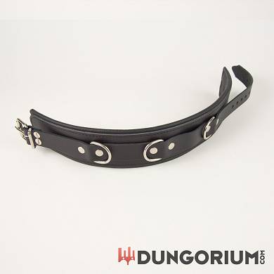 lederhalsband_5