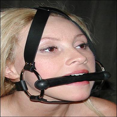 beistangen-harness