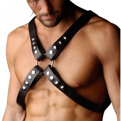 4-riemen-brust-harness