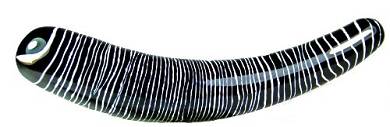 glassvibrations_glasdildo_africa_line_zebra