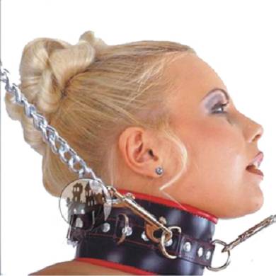 leder-halsband-mit-vielen-d-ringen