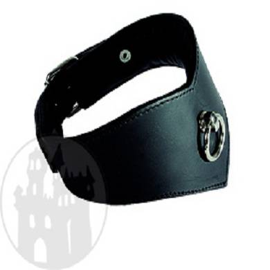Halsband mit O-Ring