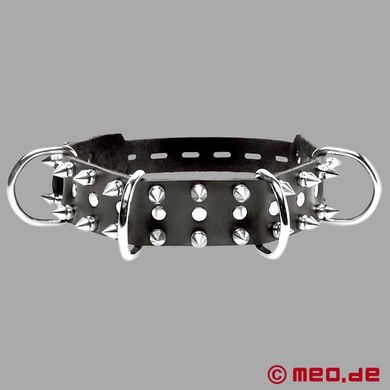 hundehalsband-aus-leder-mit-spikes--alpharde
