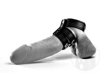 leder-cockgeschirr-m-3-bndern