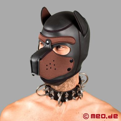 hundehalsband-aus-leder-mit-spikes--alpharde
