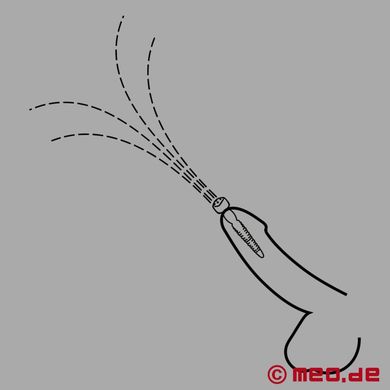 sperma-fontne-penis-plug
