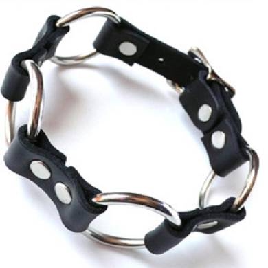 Lein-mich-an-Halsband