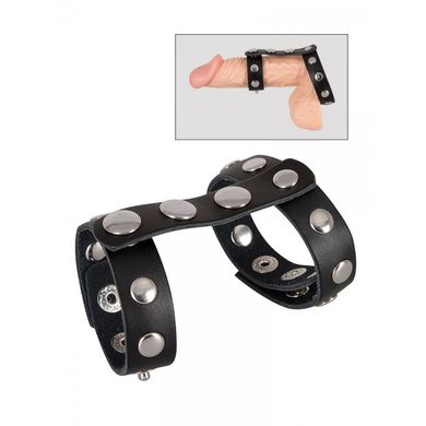 Bad Kitty Leder-Penis-Hoden-Gurt, schwarz/silber