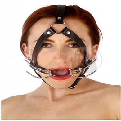 ringknebel-mit-geschirr-spider
