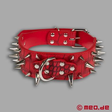 rotes-stachelhalsband-fr-den-human-pup