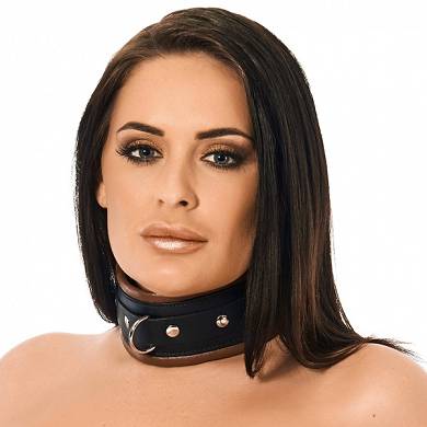 gepolstertes-halsband_3