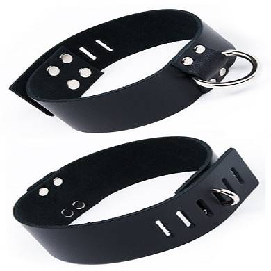 abschliebares-leder-halsband-mit-d-ring