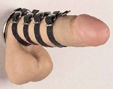 cock-ring-leder