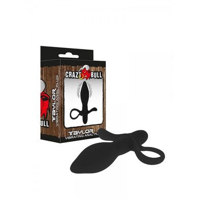 crazy-bull-taylor-vibro-plug-schwarz