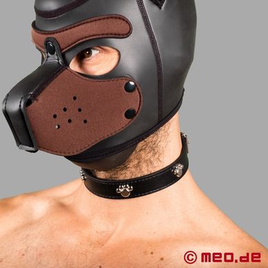 bad-puppy-hundehalsband-fetisch