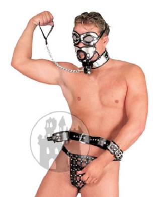 leder-kopf-harness-im-metallic-look