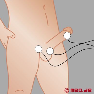 10er-pack-rundelektroden-fr-penis-anus-und-hoden