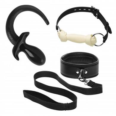 pet-play-starter-kit