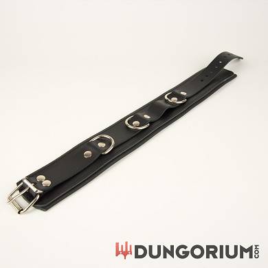 lederhalsband_5