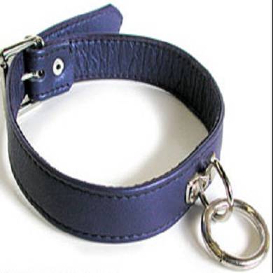 halsband-mit-o-ring-in-lila