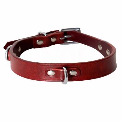 leder-halsband-mit-d-ring
