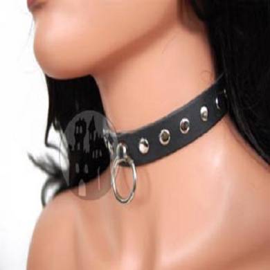 halsband-mit-flachnieten