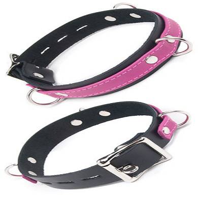 pinkes-leder-halsband-abschliebar